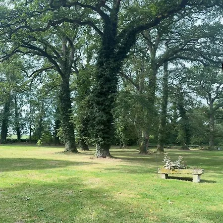 Charming House Near Gondrexange *