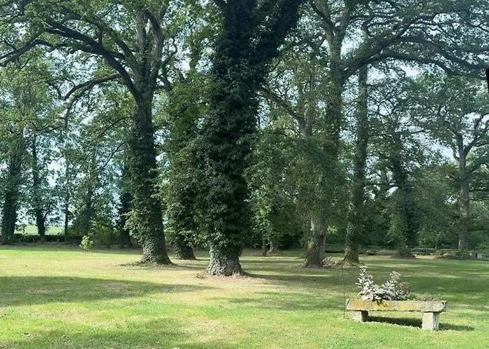 Charming House Near Gondrexange *